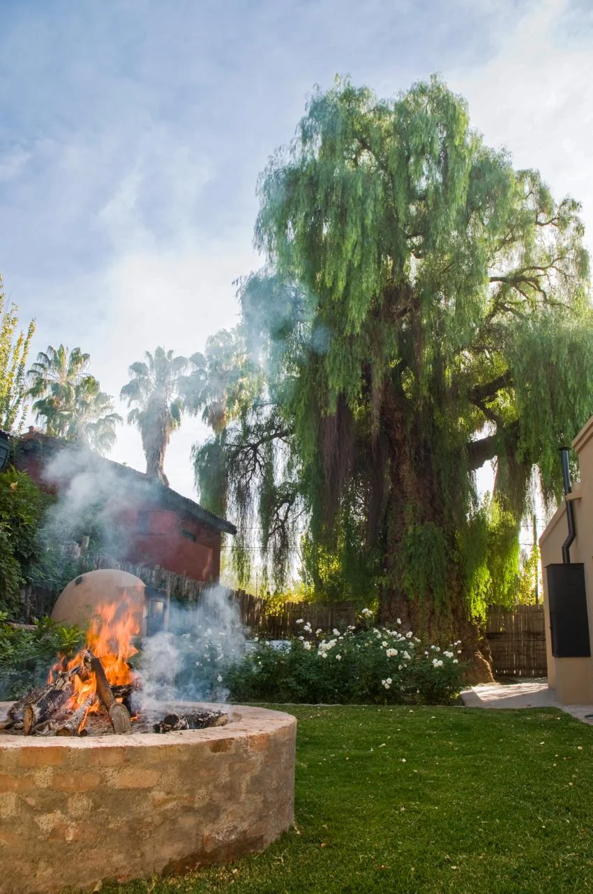 The estate's historic aguaribay tree beside the asado space, with the fire lit at its feet