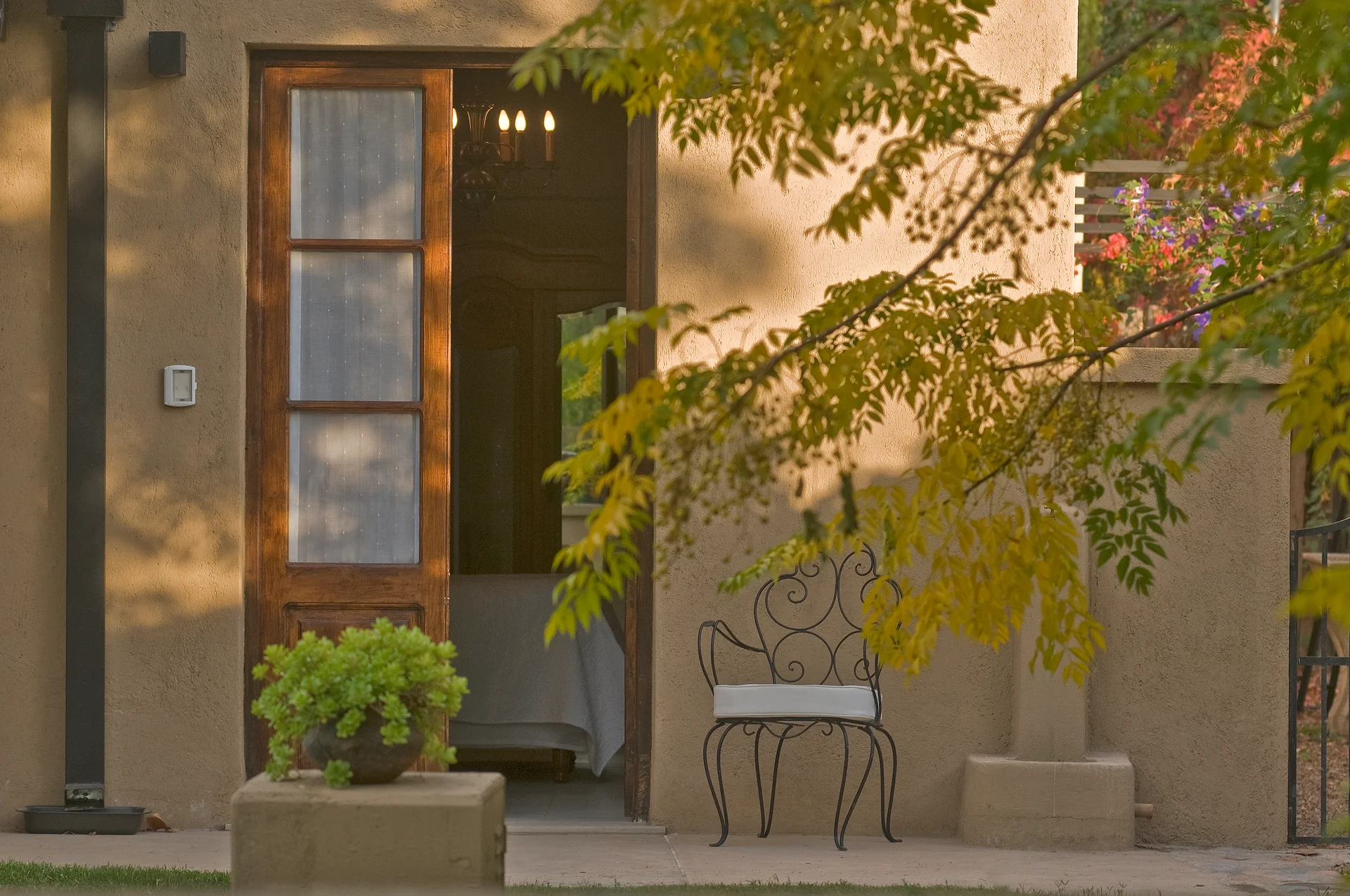 The patio of the Arbequina room under autumn leaves