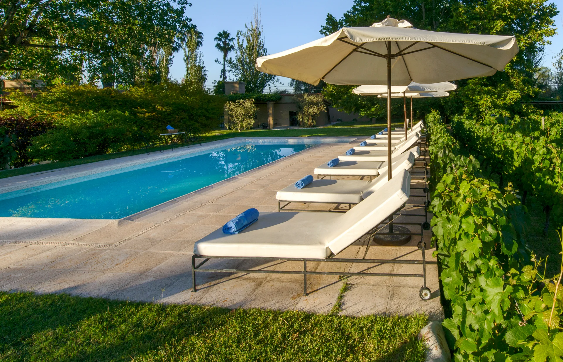 Loungers and parasols along the length of the pool