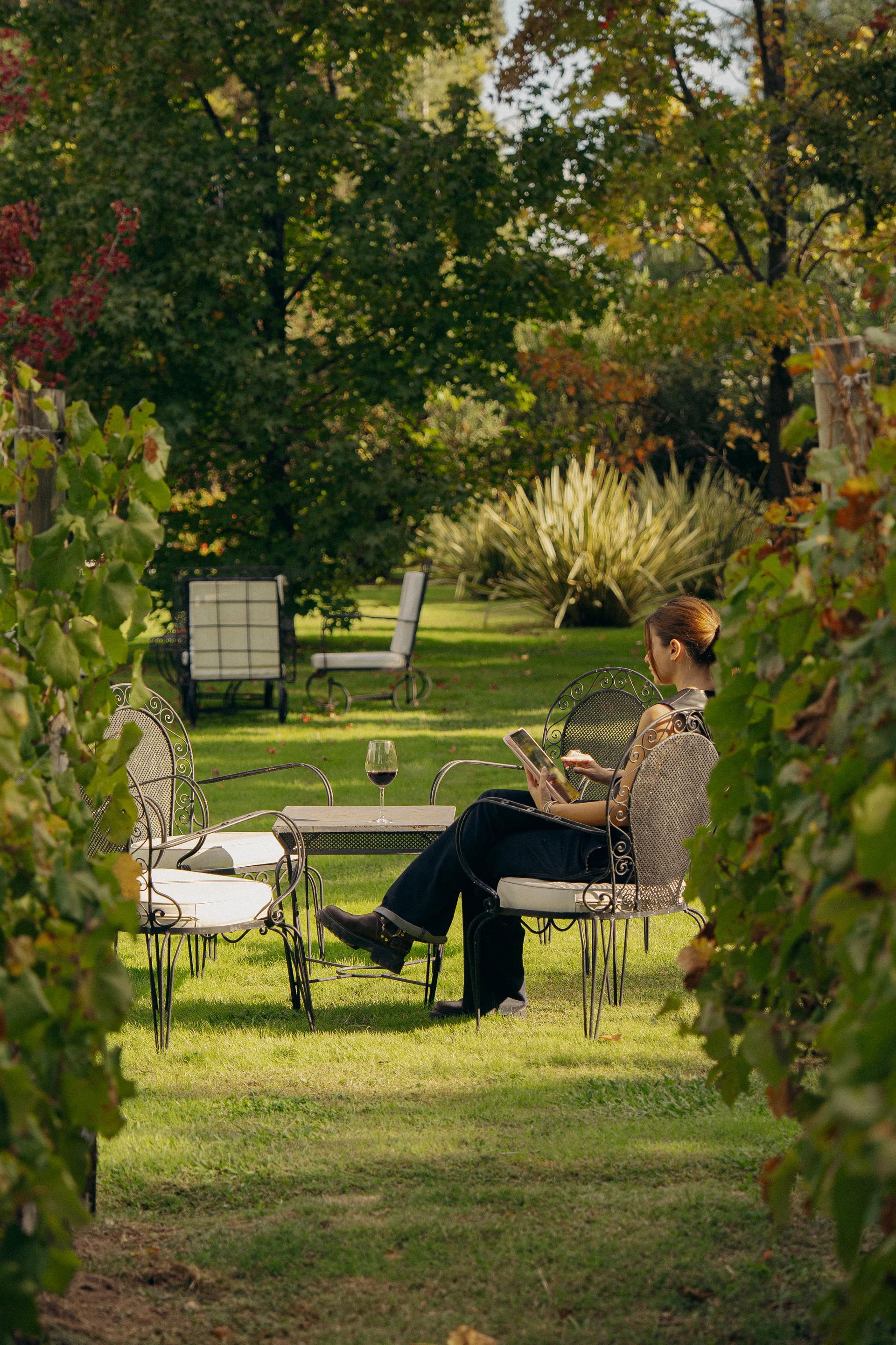 Garden seating between the vineyard rows