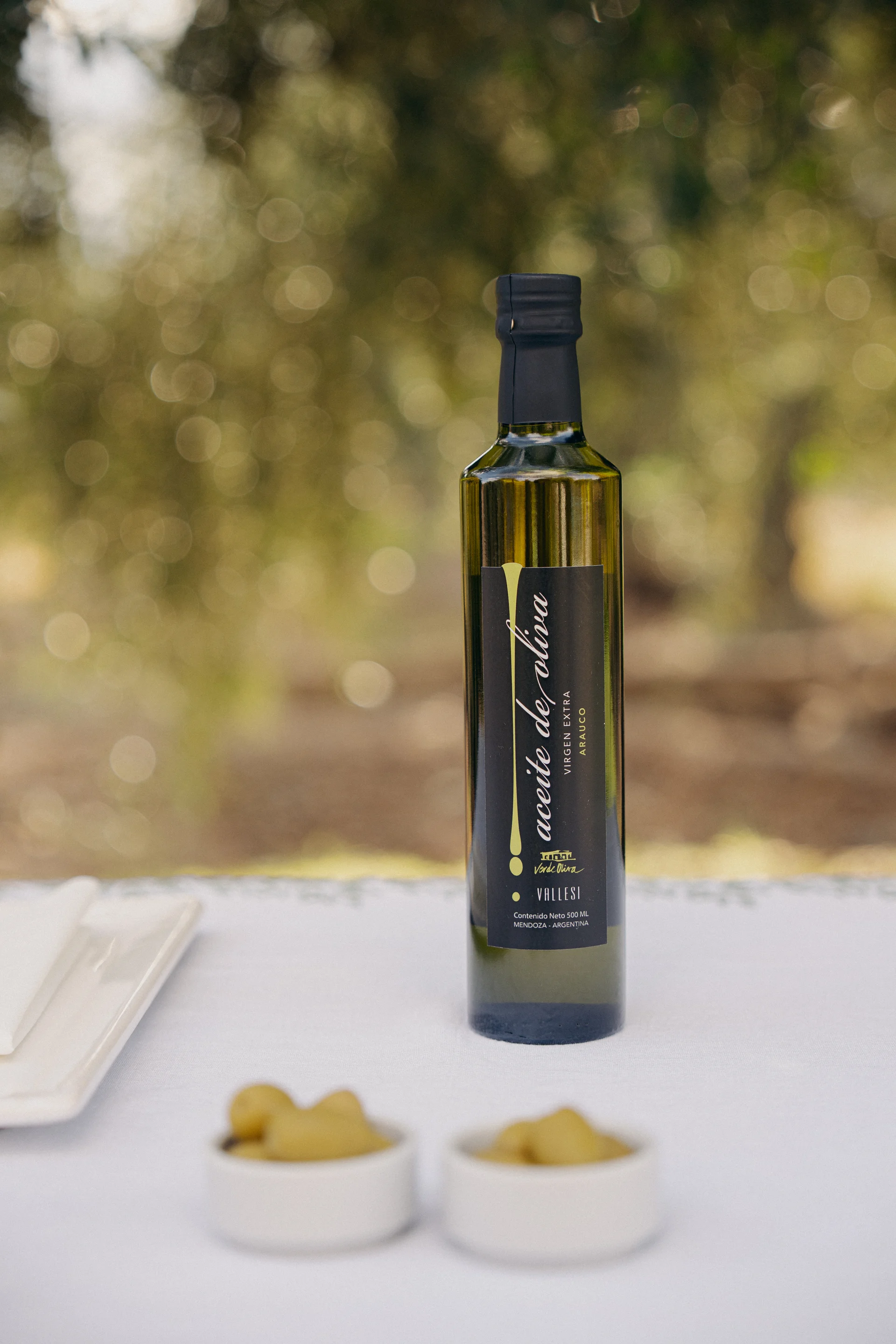 Olive oil and olives in the grove