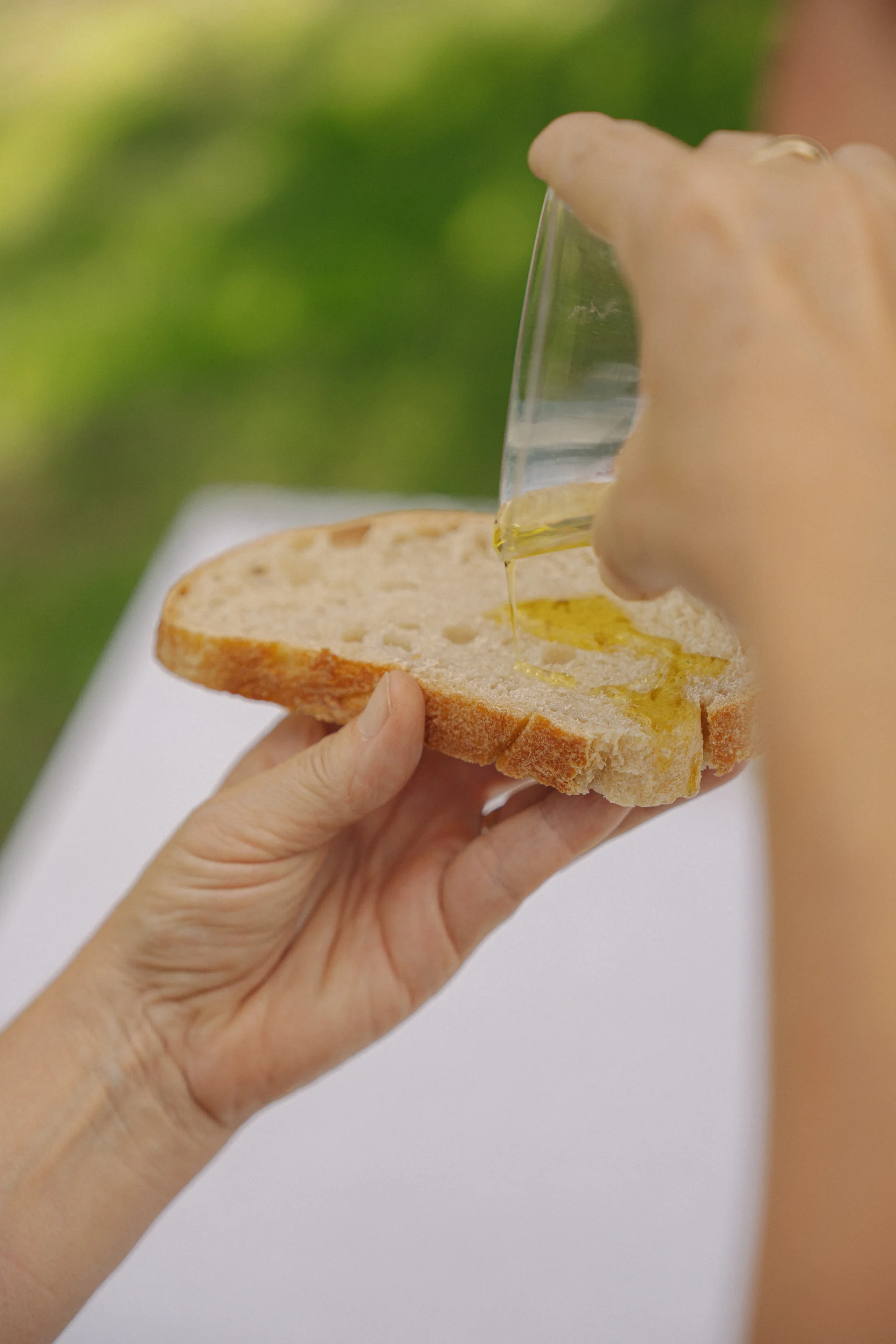 Olive oil tasting with toast in the grove