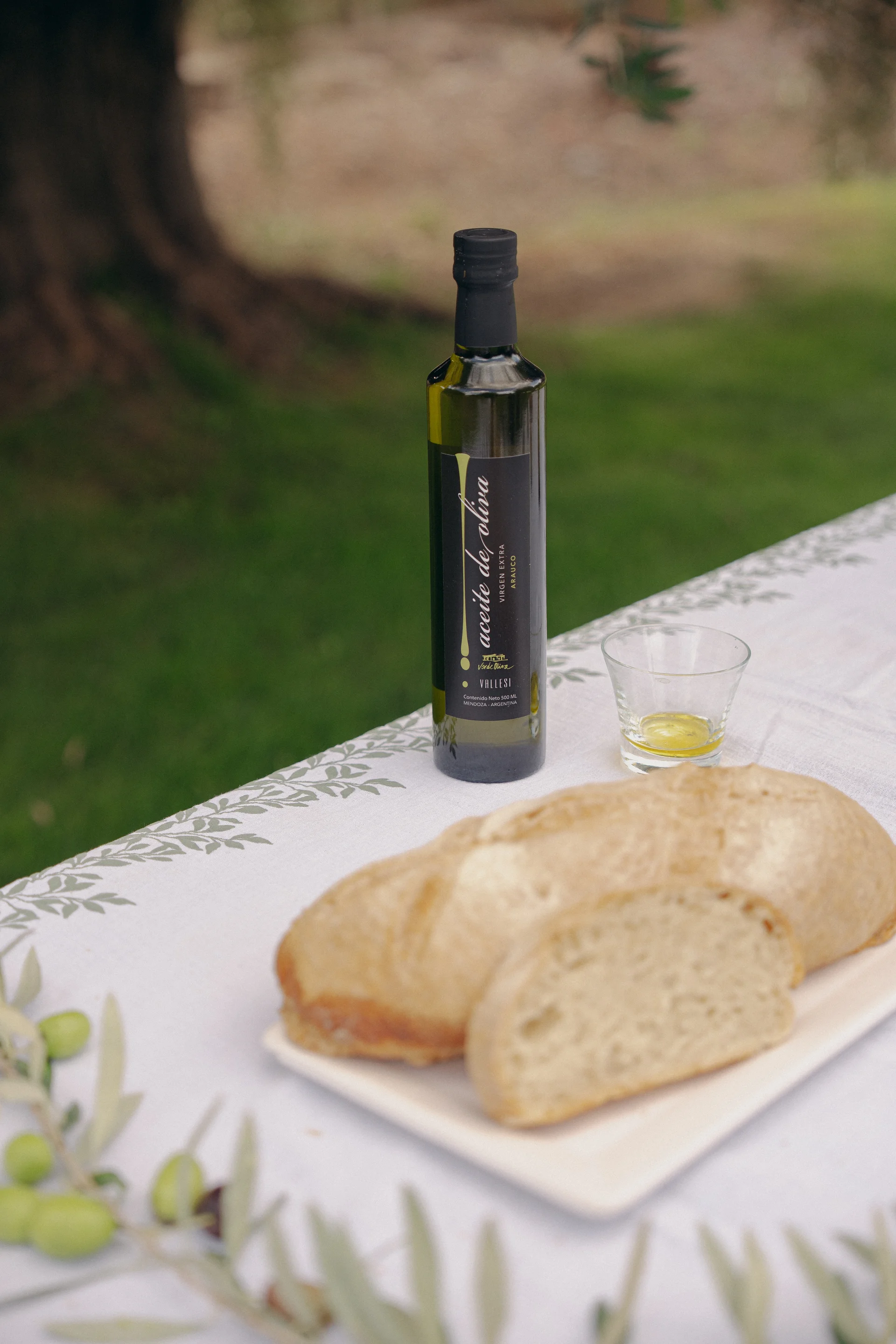 Olive oil and bread in the grove